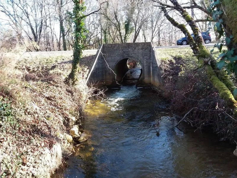 Modélisation des écoulements d'un ruisseau