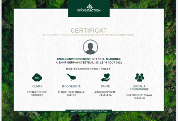 Notre projet de plantation pour la reforestation avec Reforest’Action